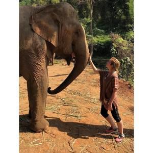 Meet your Posher, Maggie